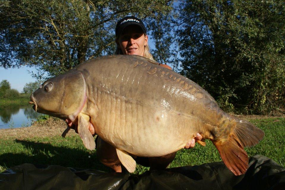 diverse 2 - 3195752466961453744361932781471n.jpg